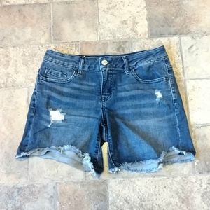 Altar'd State raw hem denim shorts size 24